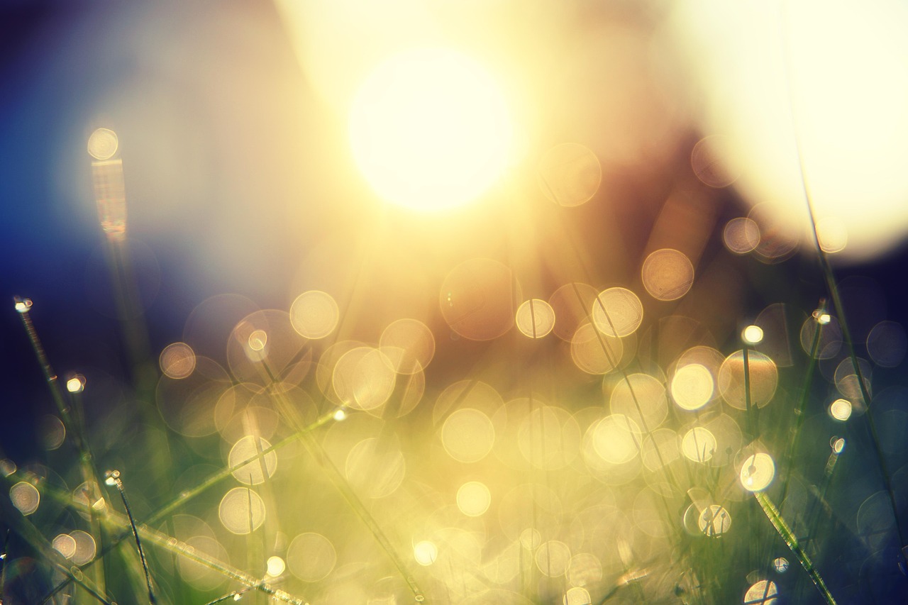 sun, grass, light, bokeh, pleasure, optimism, waterdrop, drops, wet, nature, meadow, landscape, green, sunlight, sunrise, grasses, hope, dream, summer, vacations, relaxation, fun, fairy tale, happy, freedom, hope, hope, hope, hope, hope